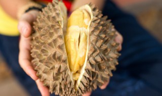 冰冻的榴莲怎么解冻（冰冻的榴莲怎么解冻比较快）