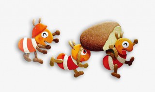 为什么大水蚁在下雨天才出现（为什么大雨前有大水蚁）