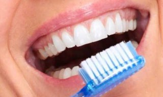 牙齿的用处和怎么保护 用什么保护牙齿