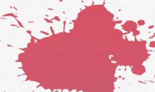 常见污渍的成分（常见特殊污渍的处理）