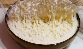 夏天发面要多久 夏天发面要多久,夏天发面放一夜可以吗