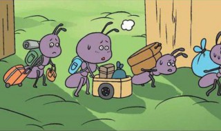 为什么蚂蚁搬家会下雨（为什么蚂蚁搬家会下雨二年级）