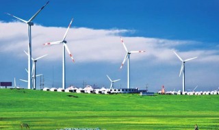 绿色产业有哪些（绿色产业有哪些项目）