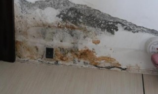 检测水管漏水的仪器（检测水管漏水的仪器原理）