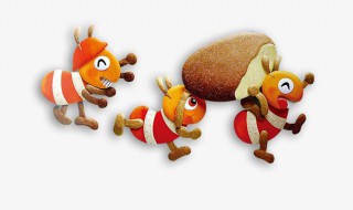 放什么东西可以赶走白蚁（白蚁用什么杀死）