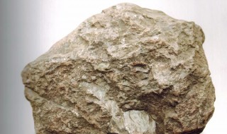 泥岩是什么岩 泥岩是什么岩石类型