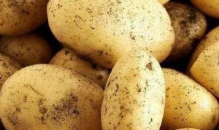 土豆高压锅压几分钟（整个土豆高压锅压几分钟）