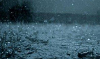 下雨之前的自然现象（下雨之前的自然现象有哪些）