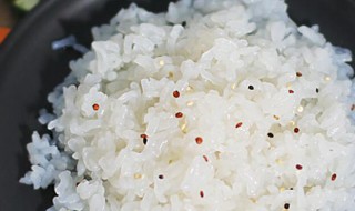 魔芋米可以长期代替米饭吗 魔芋米能蒸米饭吗