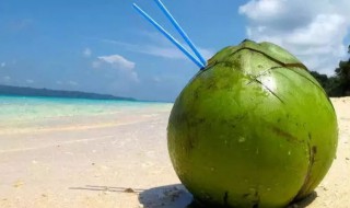 椰子是什么颜色的 没有成熟的椰子是什么颜色的