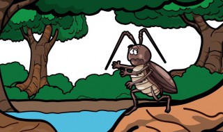 蟑螂怕什么东西 蟑螂怕什么东西用什么东西洗可以把他消灭掉