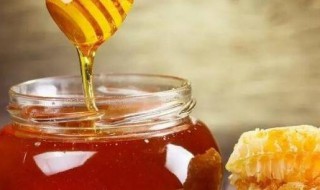 蜂蜜和蜂王浆有什么区别（蜂蜜和蜂王浆有什么区别图片）