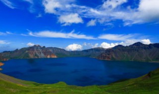 夏天虫子太多怎么办（夏天虫子太多怎么办小妙招）