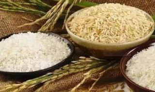 如何保护粮食安全（大学生如何保护粮食安全）