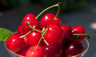樱桃要用盐水泡吗（樱桃要用盐水泡吗为什么）