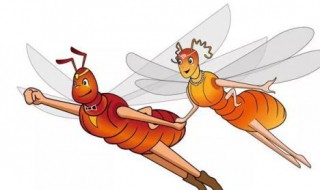 白蚁下雨天到处飞怎么解决（雨天白蚁到处飞怎么办）