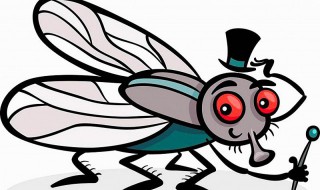 苍蝇的天敌是谁 果蝇的天敌是谁