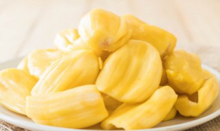 菠萝蜜怎么挑选果肉大 菠萝蜜啥样的果肉大