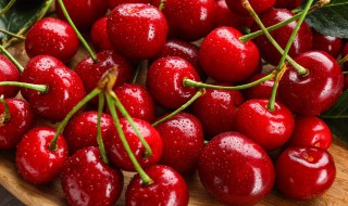 j级樱桃多大 j级樱桃多大什么意思