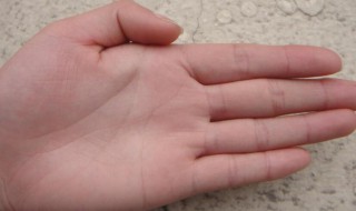 无名指下面的竖线代表什么 无名指下面的竖线代表什么男