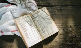 八字伤官是什么意思（生辰八字伤官是什么意思）