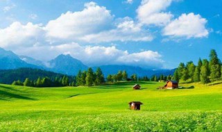 微信头像用什么最好最吉利 微信头像用什么最好最吉利招财平安