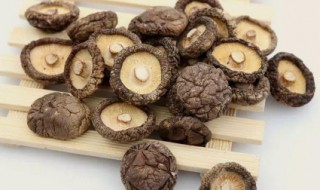 香菇可以和哪些菜搭配（香菇可以和哪些菜搭配做汤）