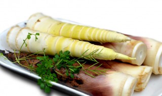 春笋怎样算剥好了（春笋怎样算剥好了没）