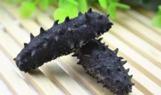 如何清洗干海参 干海参怎样清洗