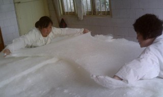 蚕丝被会长螨虫吗（蚕丝被蚕丝棉会不会生螨虫）