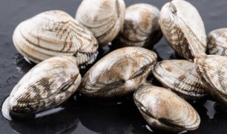 花甲如何清洗干净 花甲如何清洗才干净