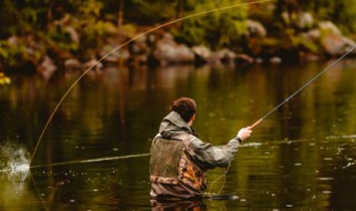 梅雨季钓翘嘴方法 梅雨季钓翘嘴方法图解