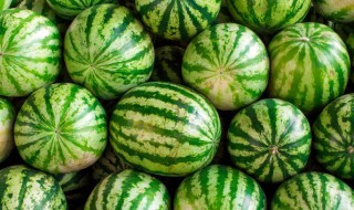 瓜怎么挑选 哈密瓜怎么挑选