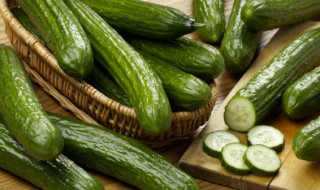 黄瓜摘叶选什么时间好（黄瓜摘叶时间,部位和方法）