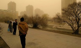 沙尘暴来临时我们应该怎么做（沙尘暴来临时我们应该怎么做英语）