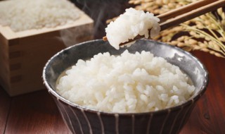 米饭放冰箱好吗（米饭可以直接放冰箱吗）