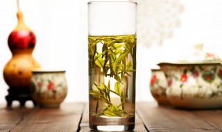 水仙茶怎么泡（福建水仙茶怎么泡）