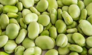新鲜蚕豆可以放冰箱吗（新鲜蚕豆可以放冰箱吗?）