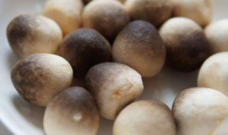 草菇可以放冰箱吗 草菇可以放冰箱吗?