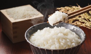 剩饭可以放冰箱吗 剩饭可以放冰箱吗冬天