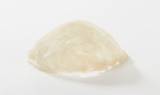 炖好的燕窝能够冷冻吗（炖好的燕窝能够冷冻吗能放多久）