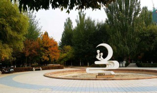 梦见公园什么寓意（梦见公园游玩）