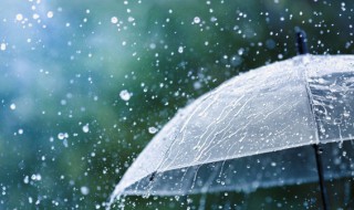 梦见雷雨什么寓意 梦见雷雨什么寓意呢
