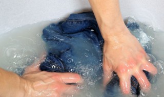 水貂绒的衣服怎么洗（水貂绒的衣服怎么洗毛顺）