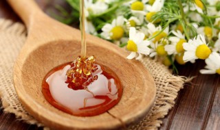 蜂王浆和蜂王胎的区别（蜂王胎和蜂王浆的区别是什么）
