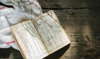 古时青年雅称（古代对青年人的雅称）