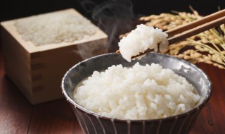 一斤大米出多少米饭（一斤大米出多少米饭的比例是什么）