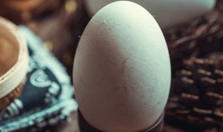 鹅蛋怎么孵化 饥荒企鹅蛋怎么孵化