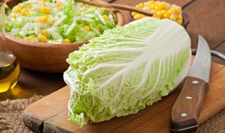 大白菜减肥法 大白菜减肥法的具体方法