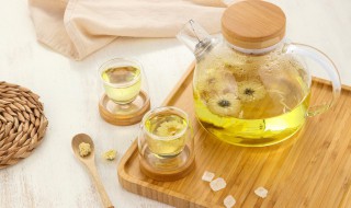 胎菊和杭白菊的区别（胎菊和杭白菊的区别与功效）